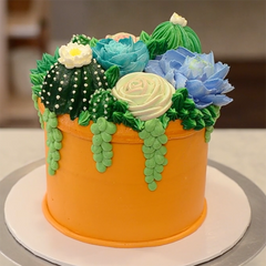 Buttercream Succulent Cakes (C3)