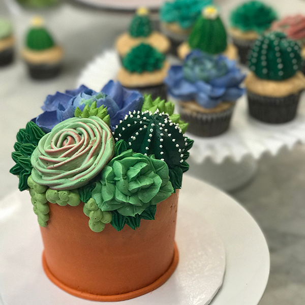 Buttercream Succulent Cakes (C3)  White Flower