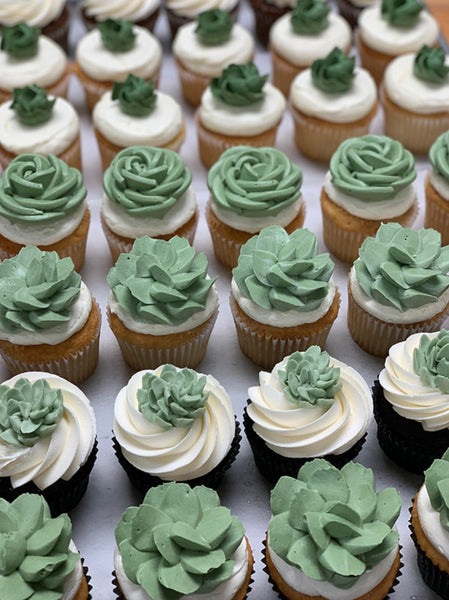 walmart succulent cupcakes Sage and Succulent Cupcakes (QTY 12) – White Flower