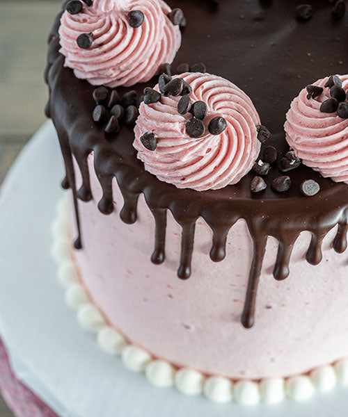 Chocolate Raspberry Celebration Cake