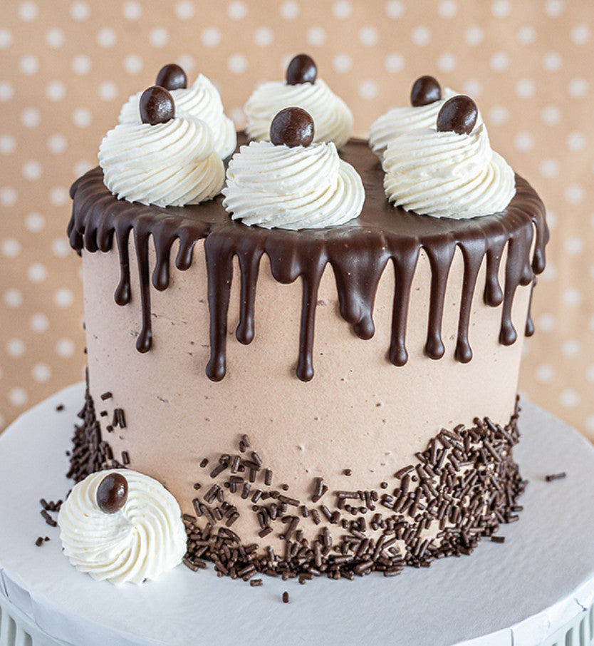 Celebration Chocolate Mocha Cake