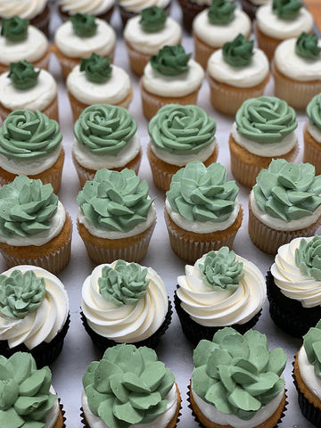 Sage and Succulent Cupcakes (QTY 12)